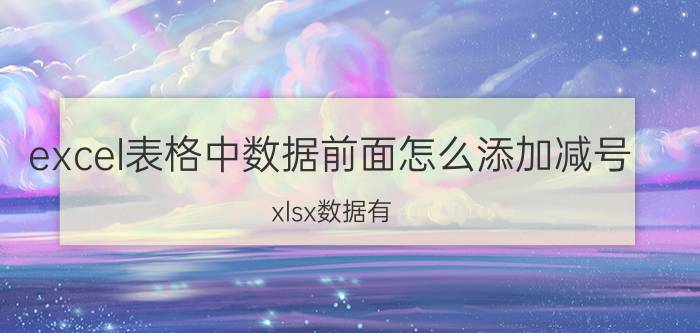 excel表格中数据前面怎么添加减号 xlsx数据有 号怎么打开？